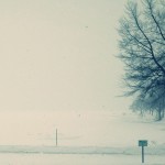 GIÁ TRỊ VÔ SONG CỦA VIỆC XIN LỄ KHI CÒN SỐNG ????