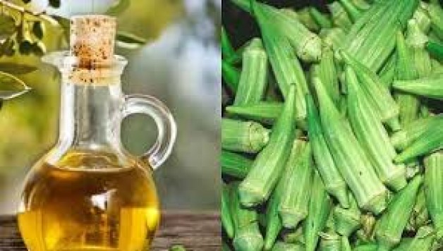 Bài thuốc chữa bệnh trĩ từ đậu bắp và dầu ô liu
