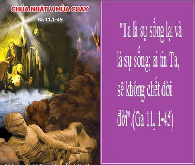 PHÂN TÍCH BÀI TIN MỪNG CHÚA NHẬT THỨ V MÙA CHAY NĂM A (02/4/2017) – (Ga 11, 1-45)