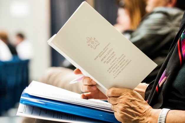 Tín lý “de fide” và lời yêu cầu tha thiết của một giáo dân về “Amoris Laetitia”