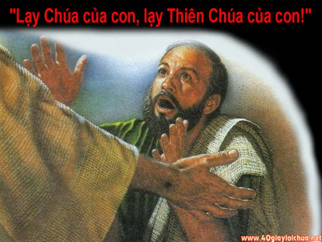 TIN LÀ HỒNG ÂN