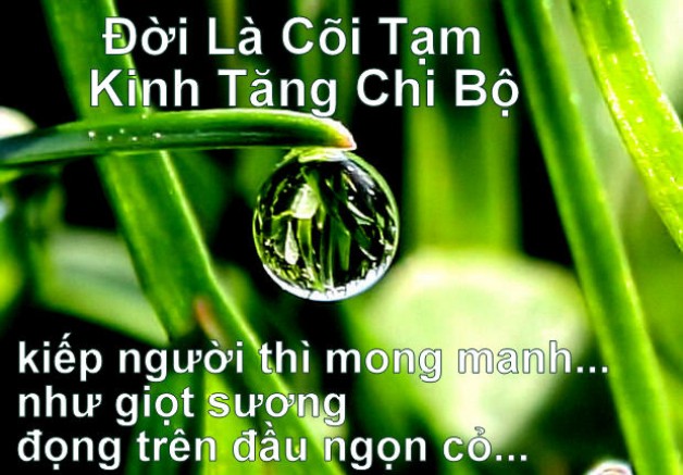CÕI TẠM
