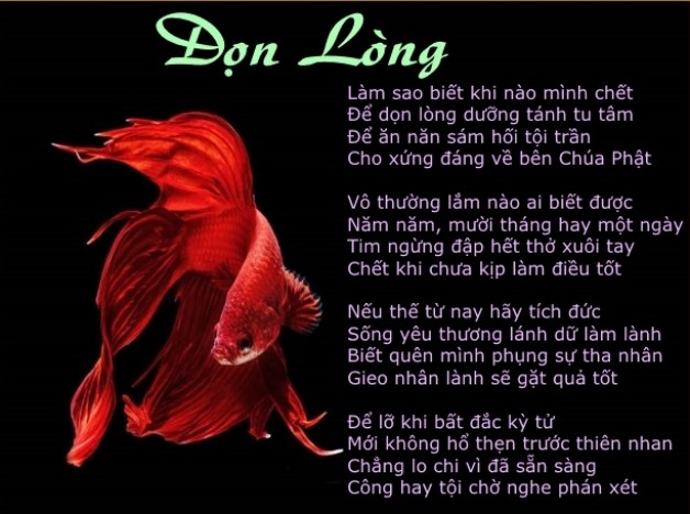 DỌN LÒNG