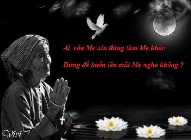 Cách báo hiếu tốt cho cha mẹ