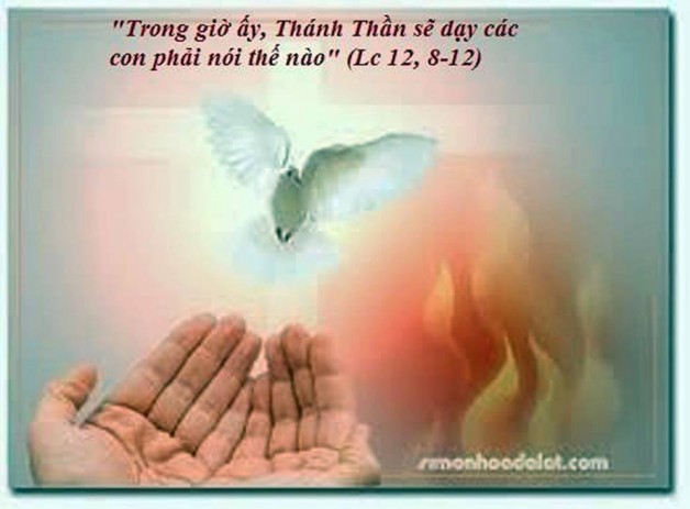 LỜI CHÚA THỨ BẢY TUẦN XXVIII THƯỜNG NIÊN NĂM LẺ (21/10/2017) – (Lc 12, 8-12) – THÁNG MÂN CÔI KÍNH ĐỨC MẸ