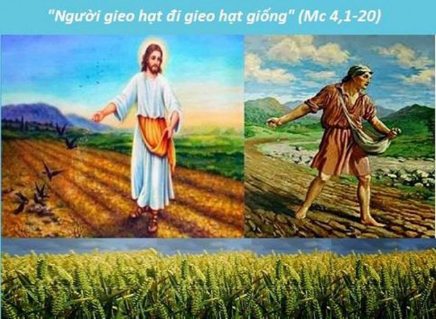 LỜI CHÚA THỨ TƯ TUẦN III THƯỜNG NIÊN NĂM CHẴN (24/01/2018) – (Mc 4, 1-20) –DỤ NGÔN NGƯỜI GIEO GIỐNG