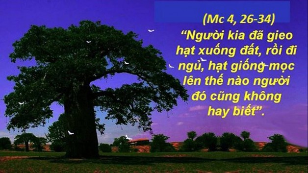 LỜI CHÚA THỨ SÁU TUẦN III THƯỜNG NIÊN NĂM CHẴN (26/01/2018) – (Mc 4, 26-34).