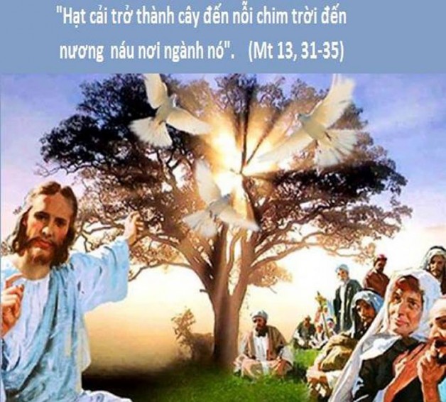 LỜI CHÚA THỨ HAI TUẦN XVII THƯỜNG NIÊN NĂM CHẴN (30/7/2018) – (Mt 13, 31-35) – DỤ NGÔN HẠT CẢI – DN: MEN TRONG BỘT