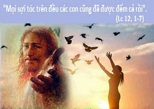 LỜI CHÚA THỨ SÁU TUẦN XXVIII THƯỜNG NIÊN NĂM CHẴN (19/10/2018) – (Lc 12, 1-7) – THÁNG MÂN CÔI KÍNH ĐỨC MẸ