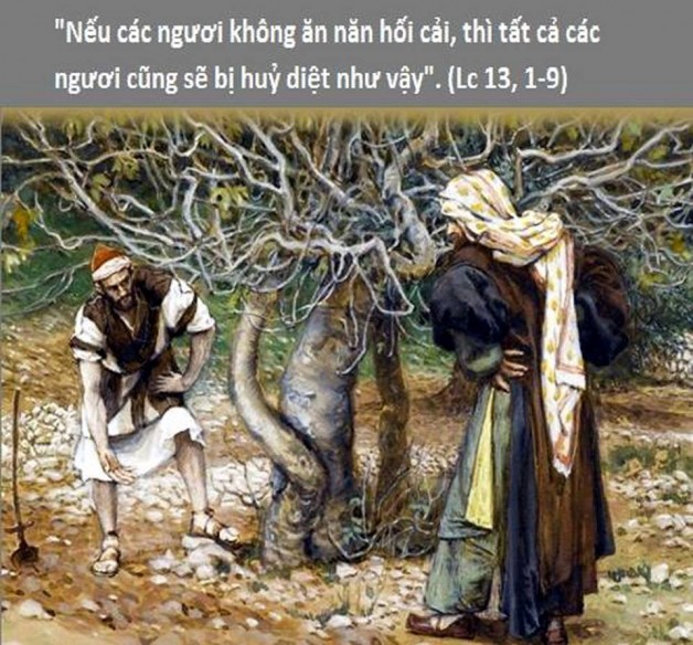LỜI CHÚA THỨ BÃY TUẦN XXIX THƯỜNG NIÊN NĂM CHẴN (27/10/2018) – (Lc 13, 1-9) – THÁNG MÂN CÔI KÍNH ĐỨC MẸ.