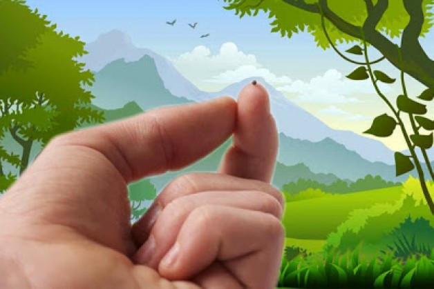 SỨC MẠNH CỦA NƯỚC THIÊN CHÚA