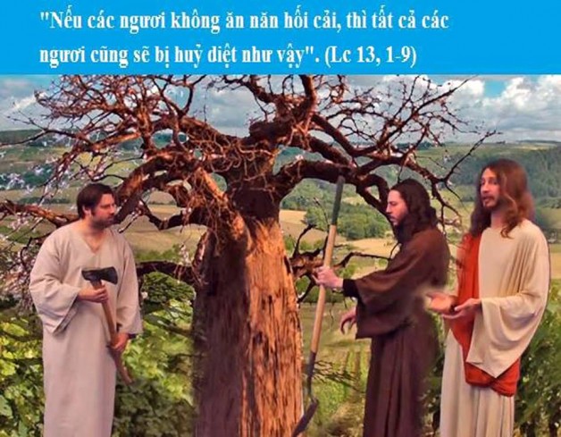 LỜI CHÚA CHÚA NHẬT III MÙA CHAY NĂM C (24/3/2019) – (Lc 13, 1-9) – MÙA CHAY THÁNH 2019 Dụ ngôn Cây vả không ra trái.