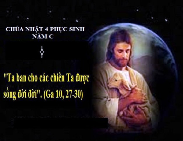 LỜI CHÚA CHÚA NHẬT TUẦN IV PHỤC SINH NĂM C (12/5/2019) – (Ga 10, 27-30) – CHÚA NHẬT CHÚA CHIÊN LÀNH Cầu cho Ơn Thiên triệu Linh mục và Tu sĩ