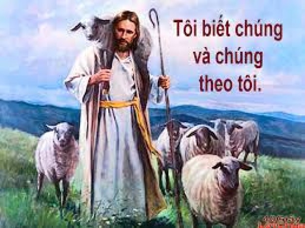 MỤC TỬ TỐT LÀNH VỚI 3 CHỮ D