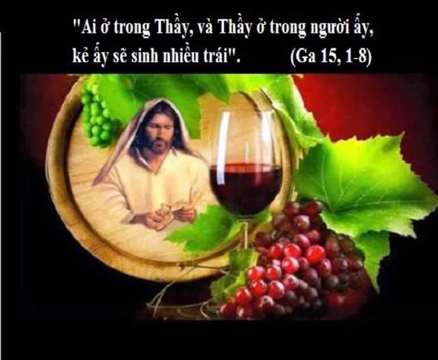 LỜI CHÚA THỨ TƯ TUẦN V PHỤC SINH NĂM LẺ (22/5/2019) – (Ga 15, 1-8) – THÁNG HOA KÍNH ĐỨC MẸ