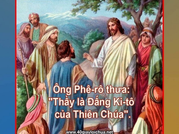 « Thầy là Đấng Ki-tô, Con Thiên Chúa hằng sống ? »