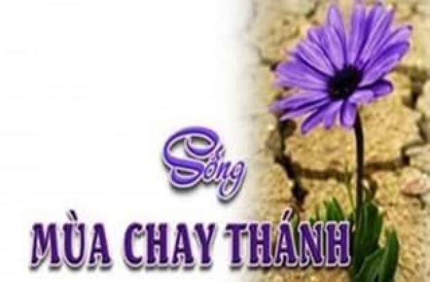 Mưá»i Lá»i khuyên cho má»™t mùa Chay thánh thiện nhất