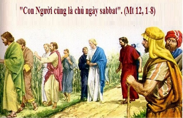 LỜI CHÚA THỨ SÁU TUẦN XV THƯỜNG NIÊN NĂM LẺ (19/7/2018) – (Mt 12, 1-8)