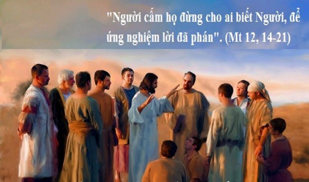 LỜI CHÚA THỨ BẢY TUẦN XV THƯỜNG NIÊN NĂM LẺ (20/7/2019) – (Mt 12, 14-21)