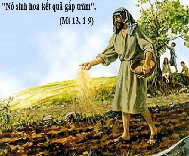 LỜI CHÚA THỨ TƯ TUẦN XVI THƯỜNG NIÊN NĂM LẺ (24/7/2019) – (Mt 13, 1-9)