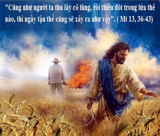 LỜI CHÚA THỨ BA TUẦN XVII THƯỜNG NIÊN NĂM LẺ (30/7/2019) – (Mt 13, 36-43) – GIẢI THÍCH DỤ NGÔN CỎ LÙNG
