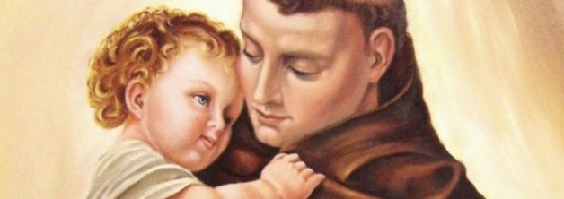 Các thu hoạch đầu tiên (1/4) (2/4) (3/4)