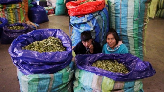 HĐGM Bolivia chống nạn bạo hành phụ nữ