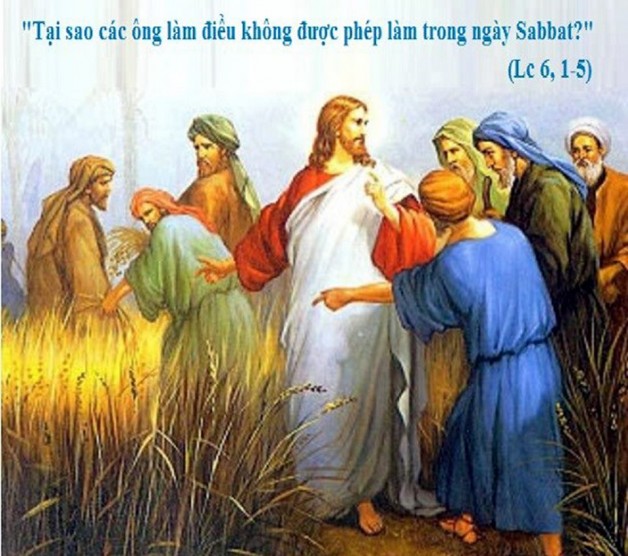 LỜI CHÚA THỨ BẢY TUẦN XXII THƯỜNG NIÊN NĂM LẺ (07/9/2019) – (Lc 6, 1-5)