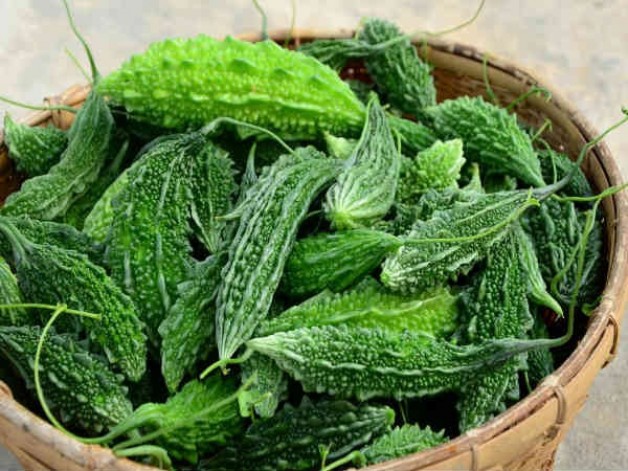 Câu chuyện về trái khổ qua