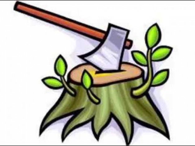 CHUYỆN CỦA CÁI RÌU…