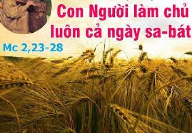 LỜI CHÚA THỨ BA TUẦN II THƯỜNG NIÊN NĂM LẺ 2021 (19/01/2021) – (Mc 2, 23-28)