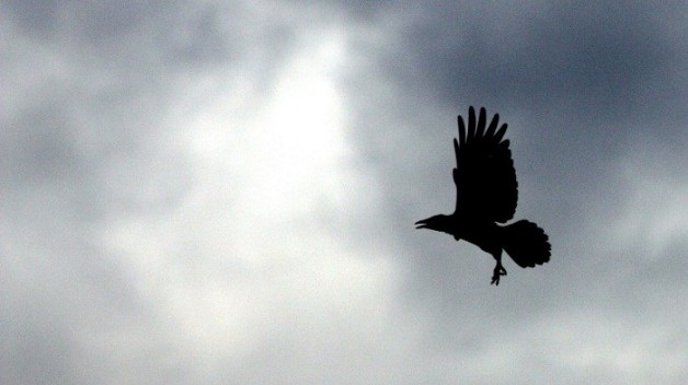 Vụ án ‘Vatileaks 2’ sẽ mở lại vào ngày 12 tháng 3 sắp tới