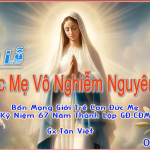 Lễ Đức Mẹ Vô Nhiễm Nguyên Tội – Bổn mạng Gia đình Con Đức Mẹ – Giáo xứ Tân Việt