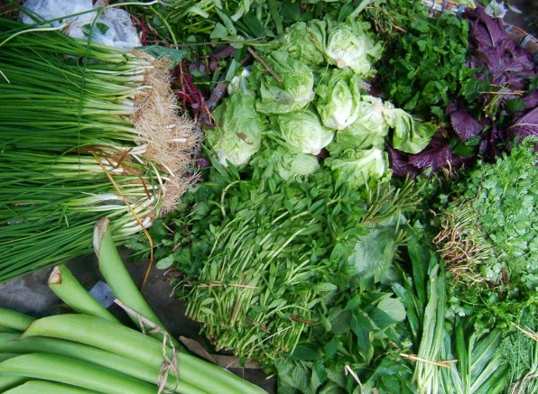 Công dụng chữa bệnh tuyệt vời của rau thơm ai cũng nên biết
