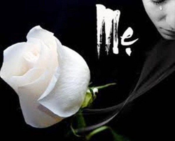 LỜI TRĂNG TRỐI CUỐI CÙNG CỦA MẸ