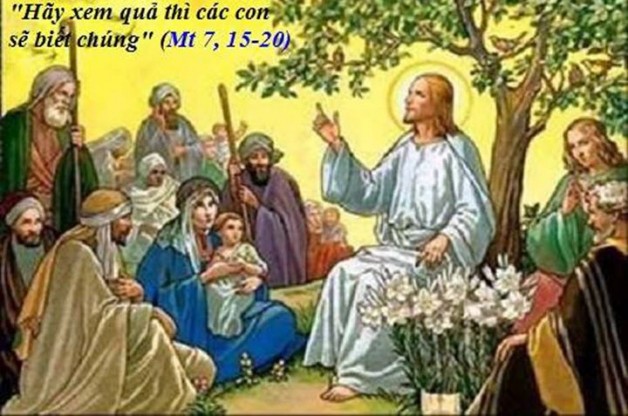 LỜI CHÚA THỨ TƯ TUẦN XII THƯỜNG NIÊN NĂM LẺ (28/6/2017) – (Mt 7, 15-20) – THÁNG THÁNH TÂM CHÚA GIÊSU