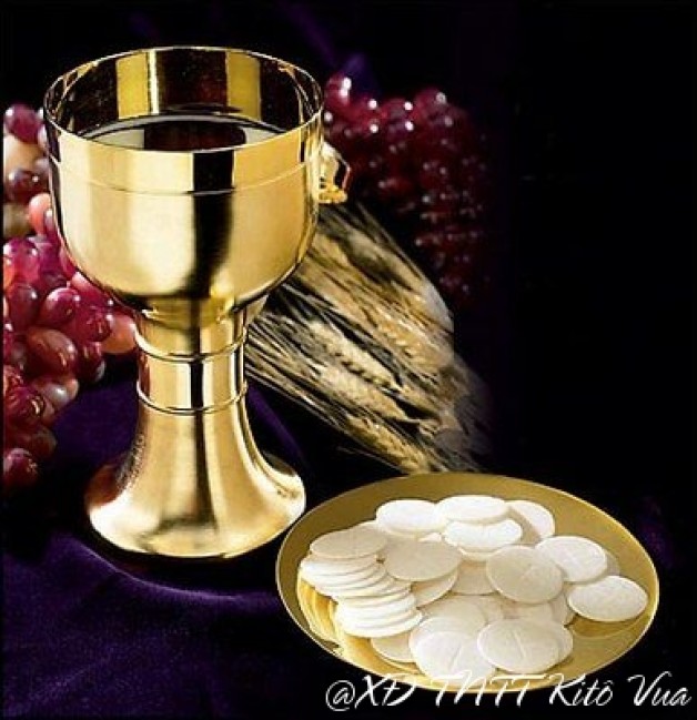 Thư luân lưu của Bộ Phụng tự về bánh và rượu lễ