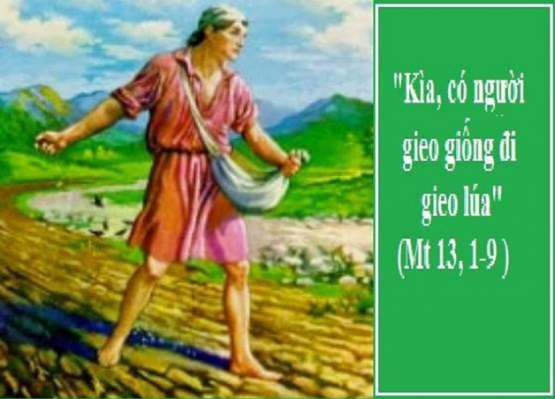 LỜI CHÚA CHÚA NHẬT XV THƯỜNG NIÊN NĂM A (16/7/2017) – (Mt 13, 1-23)