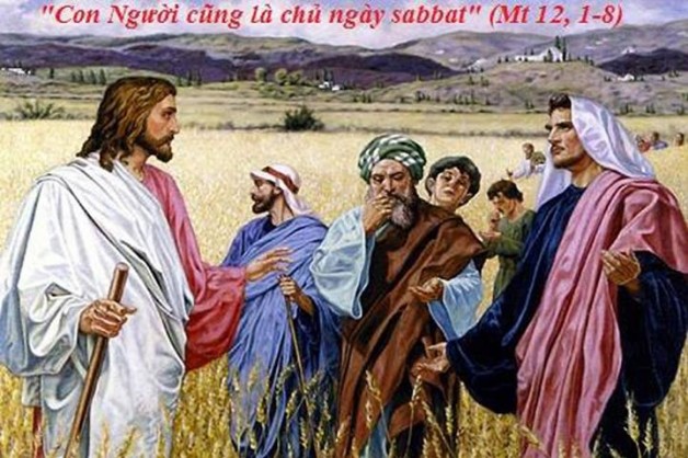 LỜI CHÚA THỨ SÃU TUẦN XV THƯỜNG NIÊN NÄ‚M LẺ (21/7/2017) – (Mt 12, 1-8)