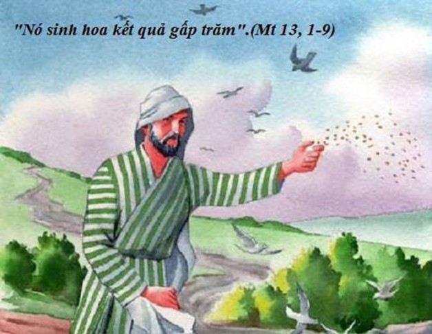 LỜI CHÚA THỨ TƯ TUẦN XVI THƯỜNG NIÊN NÄ‚M LẺ (26/7/2017) – (Mt 13, 1-9) – DỤ NGÔN NGƯỜI GIEO GIá»NG.