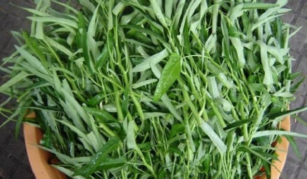 5 mẫu người không nên ăn rau muống