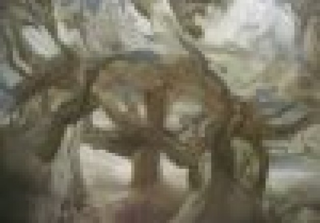 Bóng tối và nhận thức nhạy cảm