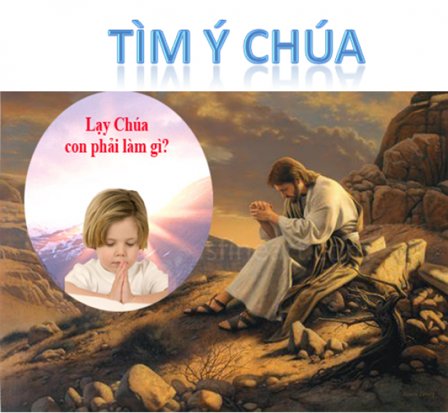 TÌM Ý CHÚA