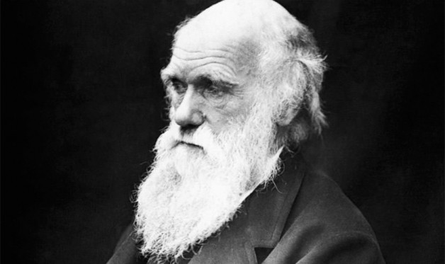 9 lý do chứng minh thuyết tiến hóa của Darwin sai
