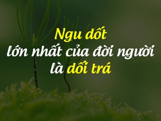 “THÔI! ĐỪNG LỪA DỐI NHAU LÀM GÌ!”