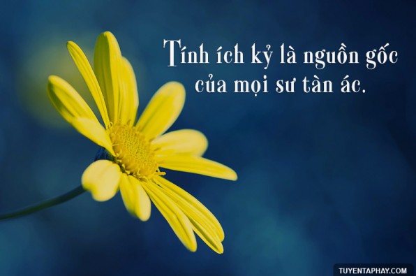 THIỂU NÄ‚NG : CÄ‚N BỆNH THỜI ÄẠI KHÓ CHá»®A