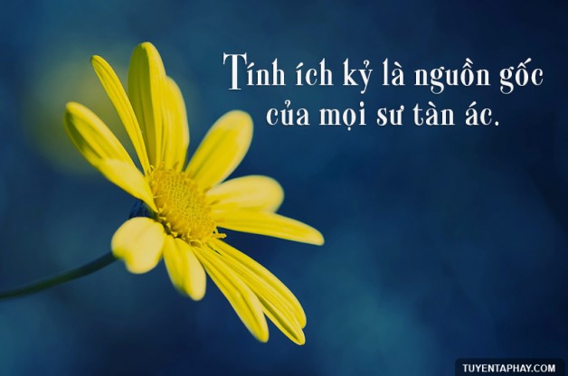 THIỂU NĂNG : CĂN BỆNH THỜI ĐẠI KHÓ CHỮA
