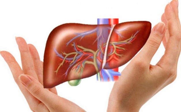 Bác sĩ Việt ở Mỹ: 4 truyền thuyết về giải độc gan và sự thật phũ phàng