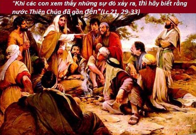 LỜI CHÚA THỨ SÁU TUẦN XXXIV THƯỜNG NIÊN NĂM LẺ (01/12/2017) – (Lc 21, 29-33) – DỤ NGÔN CÂY VẢ.