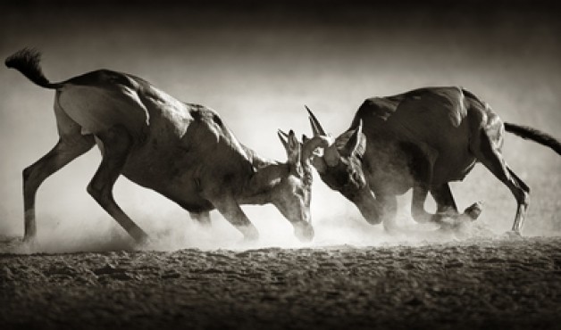 Tính dục – Tiềm năng và hoạch định